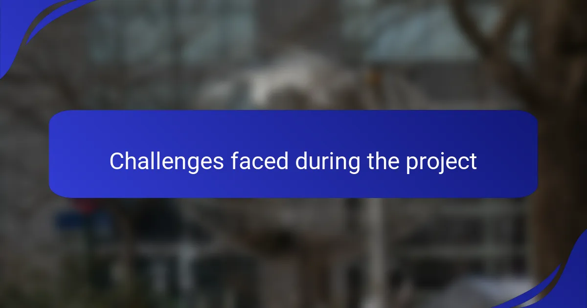 Challenges faced during the project